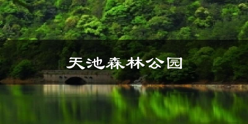 天池森林公园天气预报十五天