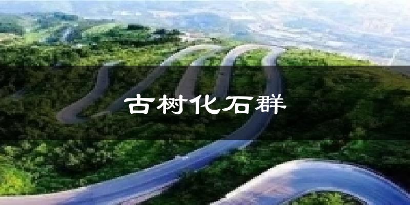 綦江古树化石群天气预报未来一周