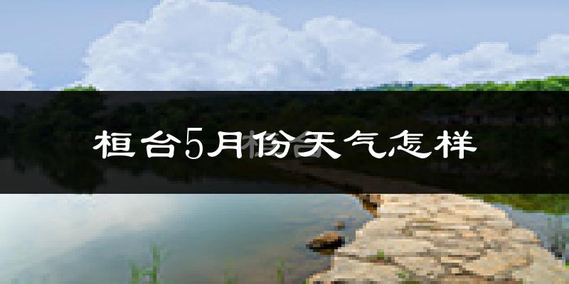 桓台县5月份天气如何?很热吗?